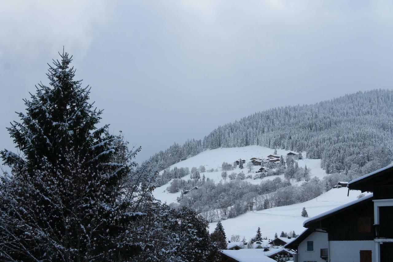 Chalet Des Pistes 메게브 외부 사진