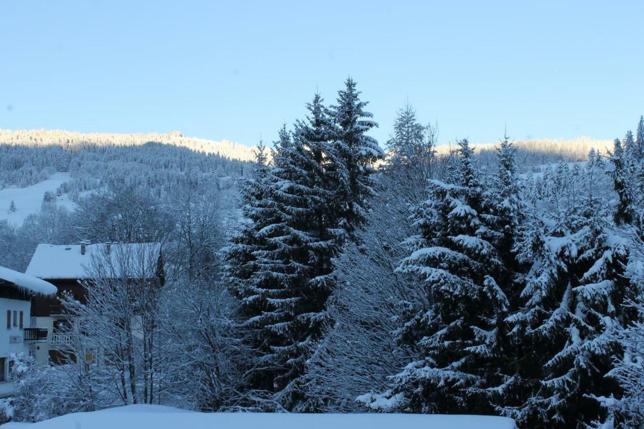 Chalet Des Pistes 메게브 외부 사진